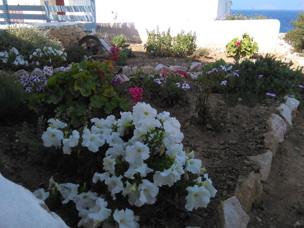 Makares Hotel apartamentowy Donoussa
